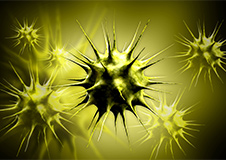 微生物・ウイルス・細胞