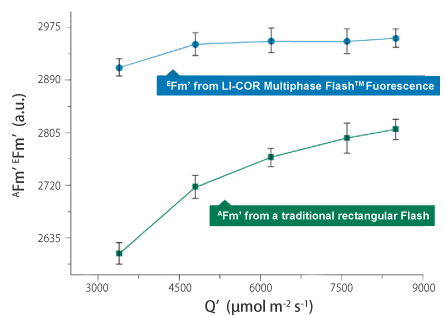 クロロフィル蛍光測定値の比較(LI-6800 植物光合成総合解析システム)