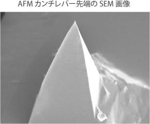 AFMカンチレバーの耐久性アップ
